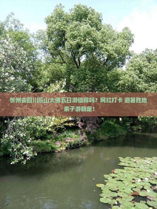 忻州去四川乐山大佛五日游