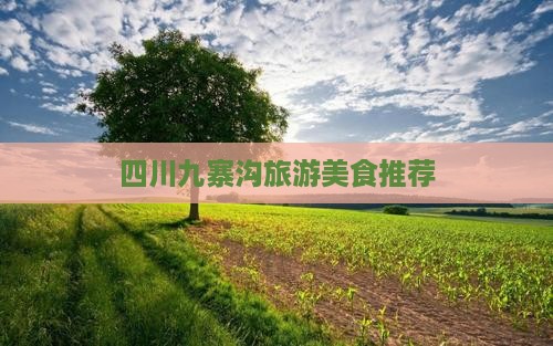 阿拉善盟去四川九寨沟旅游小吃