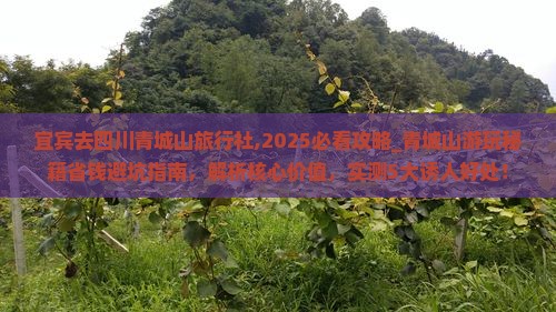 宜宾去四川青城山旅行社