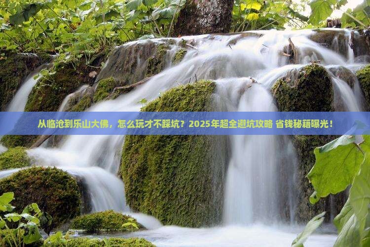 临沧去四川乐山大佛团体旅游