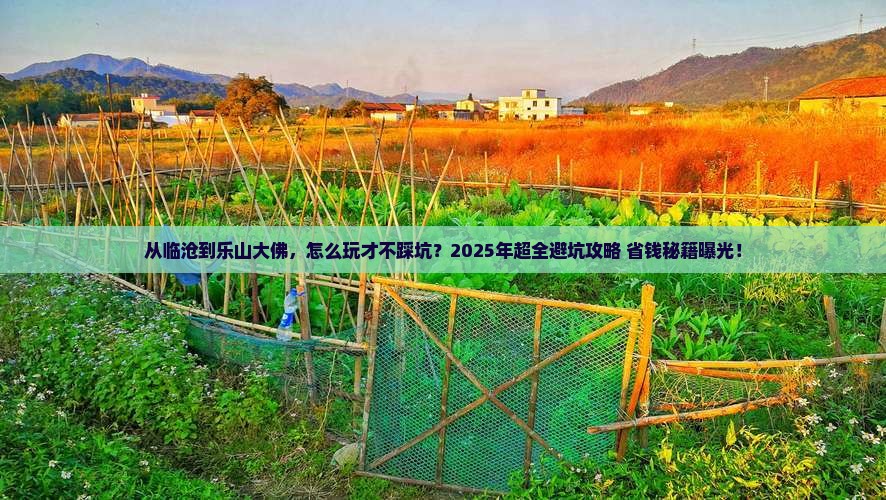 临沧去四川乐山大佛团体旅游