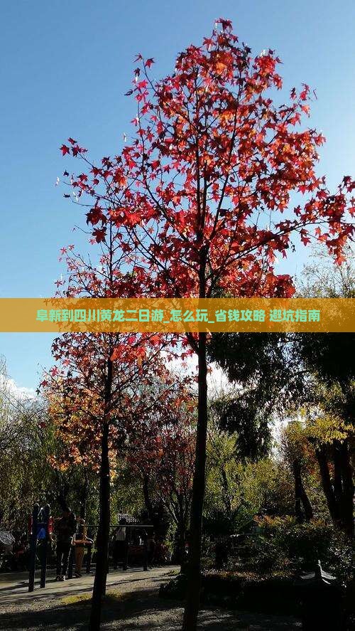 阜新到四川黄龙二日游