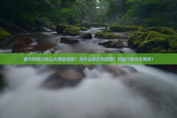 春天到四川乐山大佛自由团