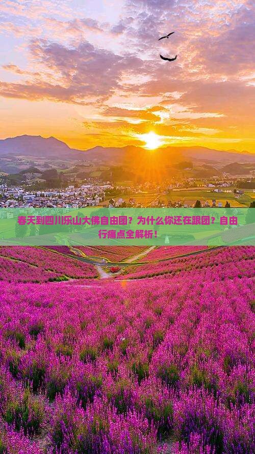 春天到四川乐山大佛自由团