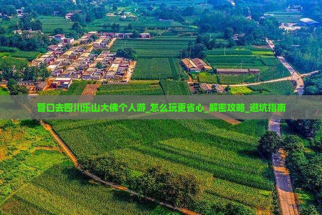 营口去四川乐山大佛个人游
