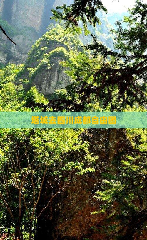 塔城去四川成都自由团