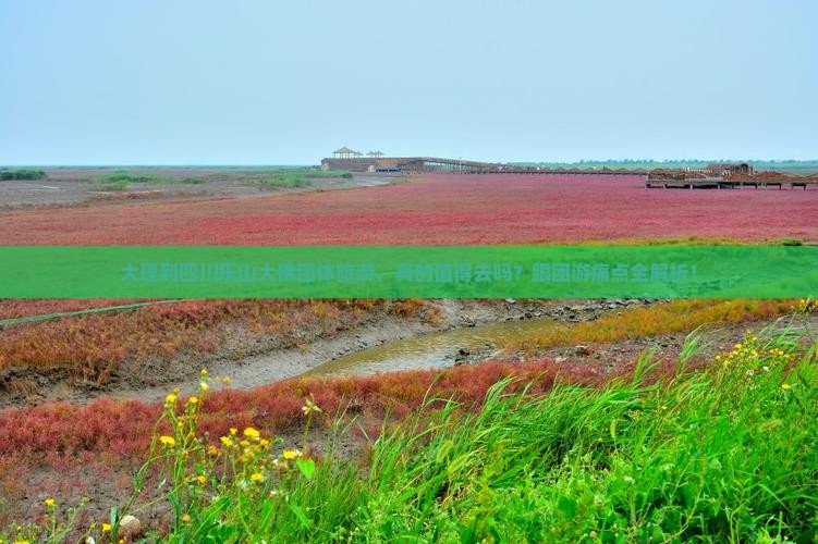 大理到四川乐山大佛团体旅游