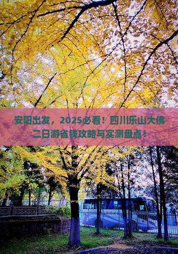 安阳到四川乐山大佛二日游