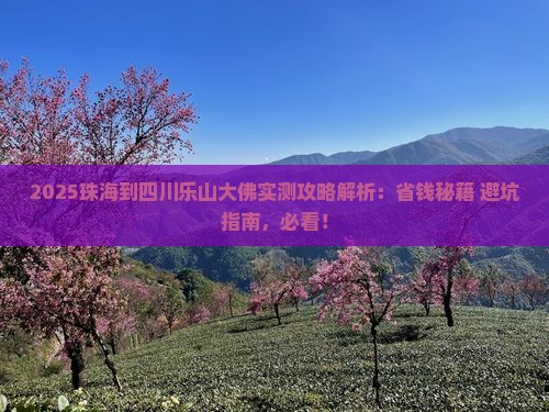 珠海到四川乐山大佛攻略