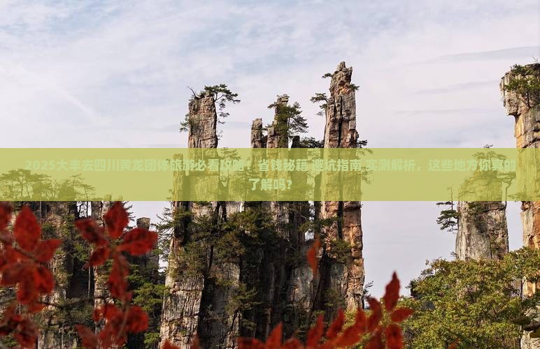 大丰去四川黄龙团体旅游