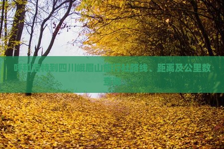 呼和浩特到四川峨眉山旅行社
