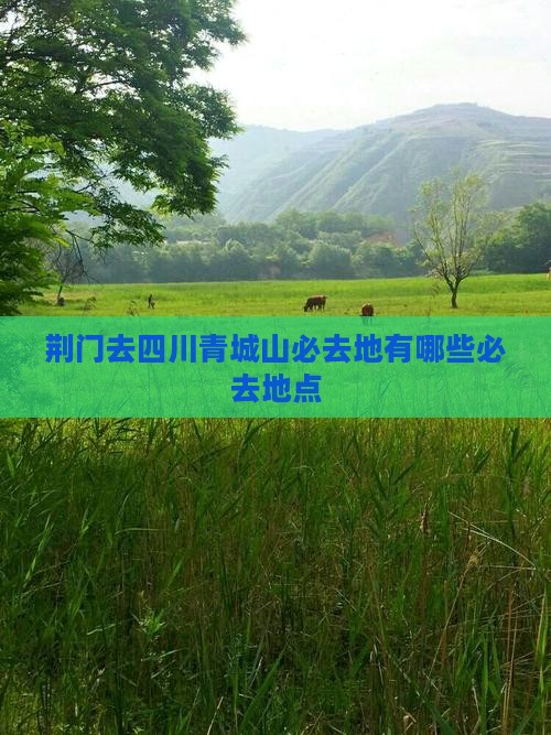荆门去四川青城山必去地