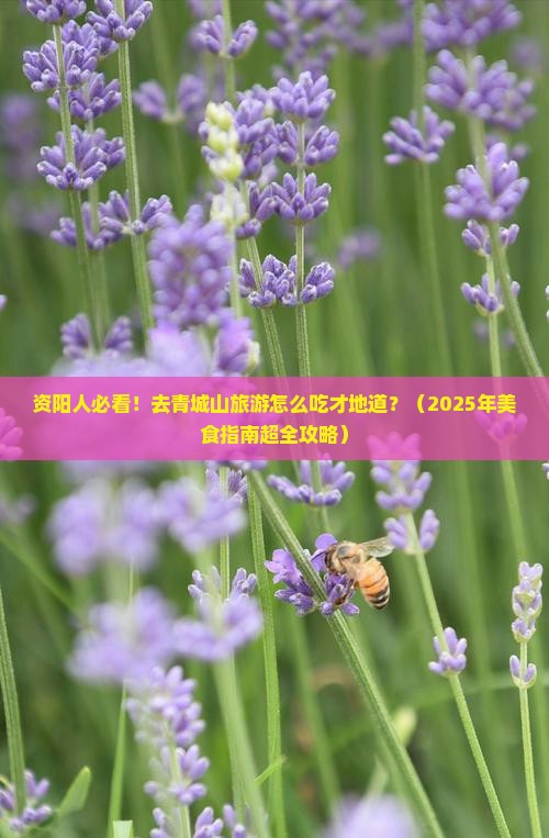 资阳到四川青城山旅游小吃