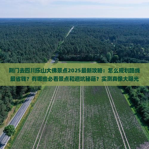 荆门去四川乐山大佛景点