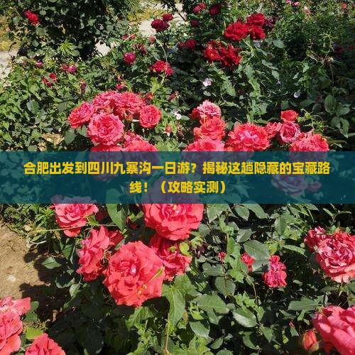 合肥到四川九寨沟一日