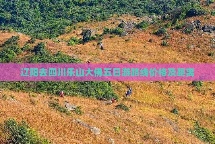 辽阳去四川乐山大佛五日游