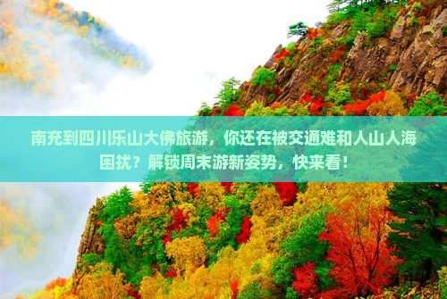 南充到四川乐山大佛旅游