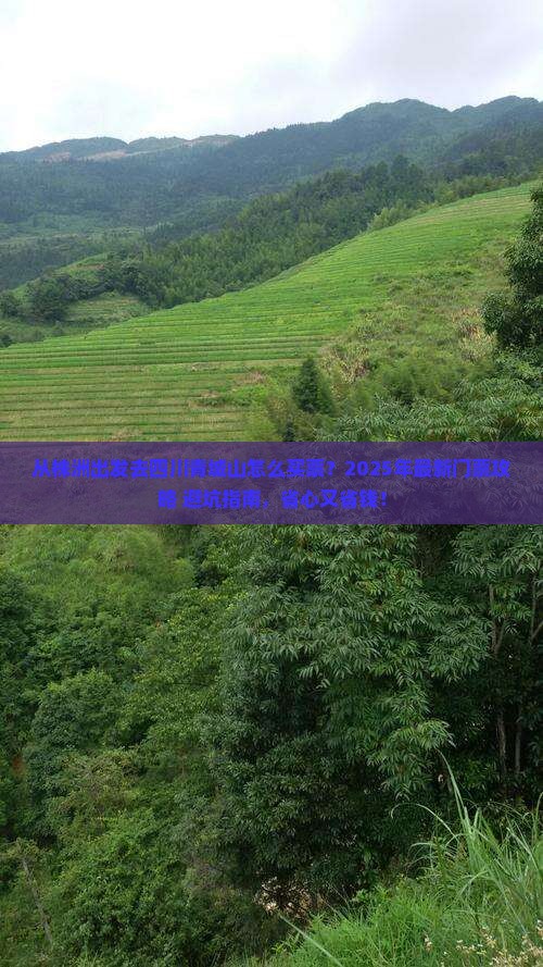 株洲到四川青城山门票