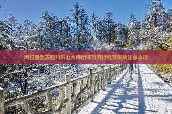 阿拉善盟去四川乐山大佛团体旅游