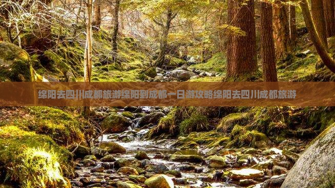 绵阳去四川成都旅游