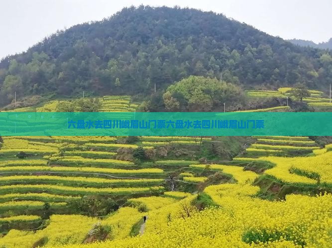 六盘水去四川峨眉山门票