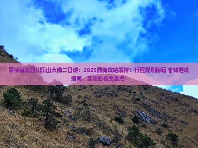 景德镇去四川乐山大佛二日游