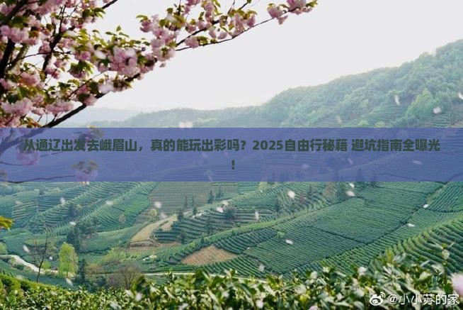 通辽到四川峨眉山自由行