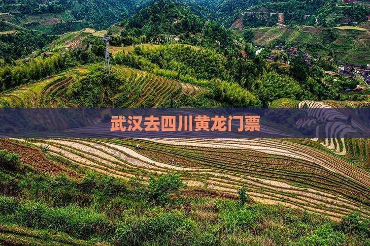 武汉去四川黄龙门票