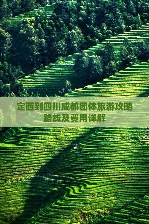 定西到四川成都团体旅游