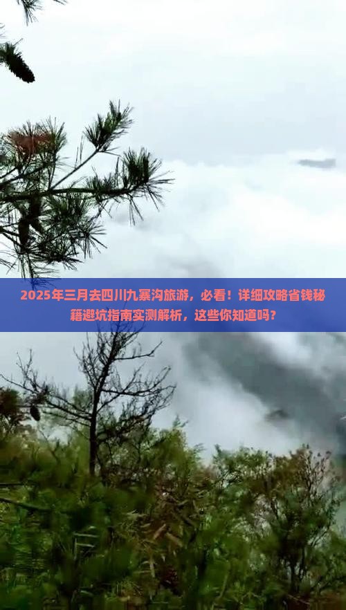 三月到四川九寨沟旅游