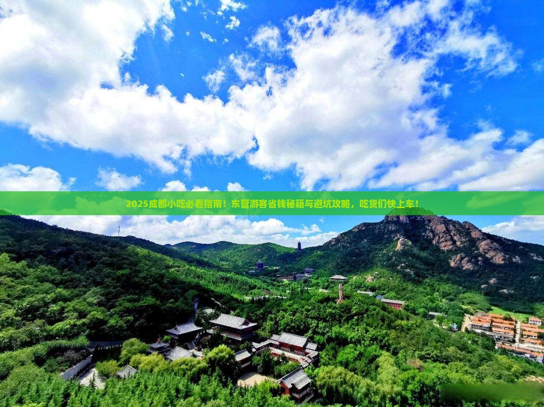 东营去四川成都旅游小吃