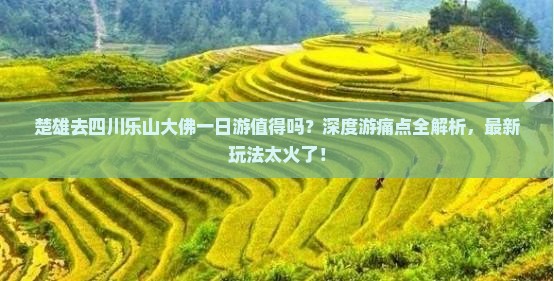 楚雄去四川乐山大佛一日