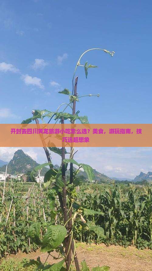 开封去四川黄龙旅游小吃