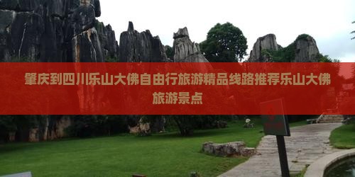 肇庆去四川乐山大佛自由团