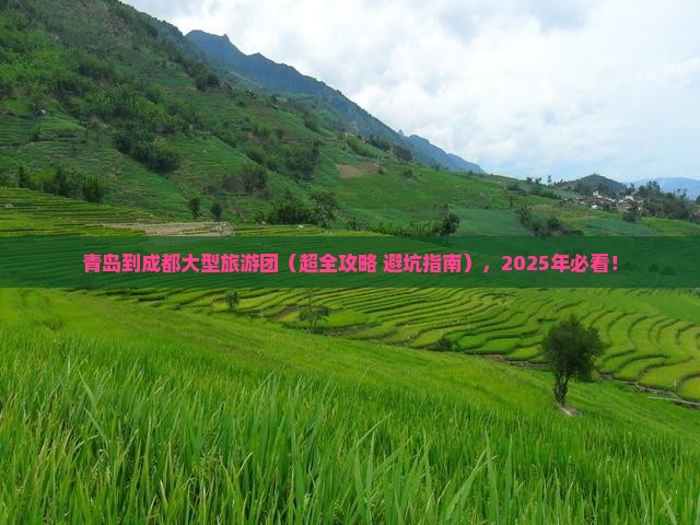 青岛去四川成都大型旅游团
