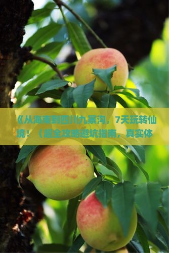 海南去四川九寨沟七日游