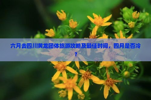六月去四川黄龙团体旅游