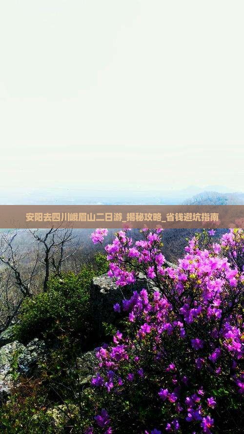 安阳去四川峨眉山二日游