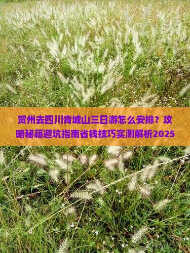 贺州去四川青城山三日游