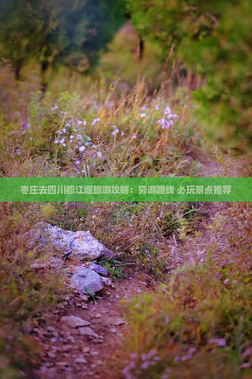 枣庄去四川都江堰旅游