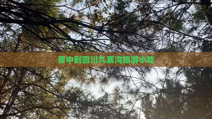 晋中到四川九寨沟旅游小吃