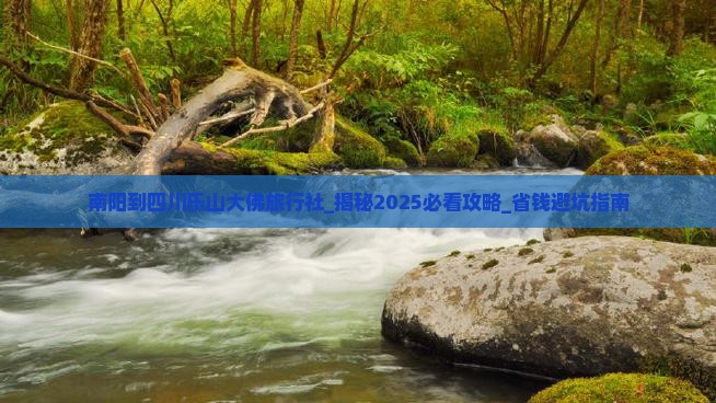 南阳到四川乐山大佛旅行社