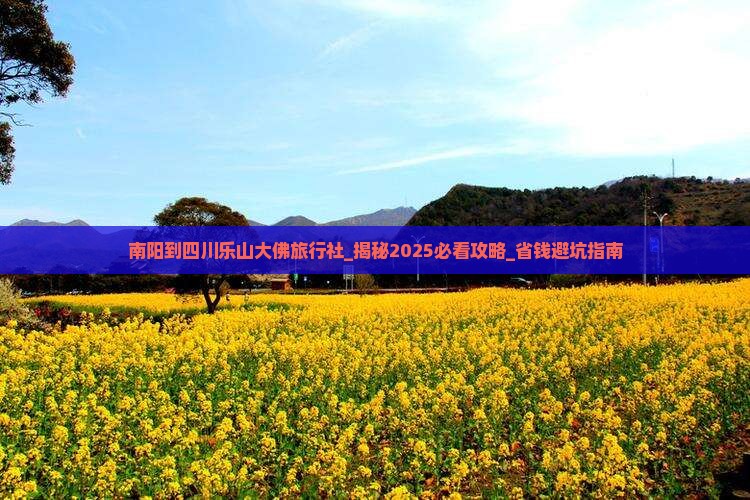 南阳到四川乐山大佛旅行社
