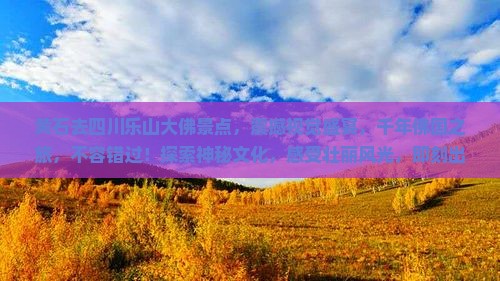 黄石去四川乐山大佛景点