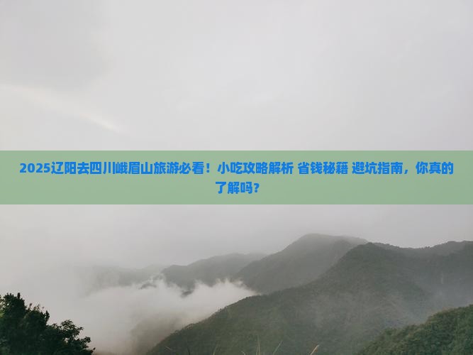 辽阳去四川峨眉山旅游小吃