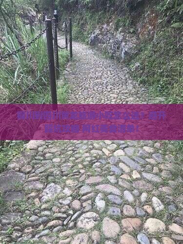 铜川到四川黄龙旅游小吃