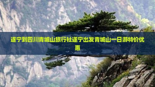 遂宁到四川青城山旅行社