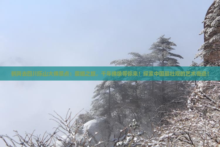 鹤岗去四川乐山大佛景点