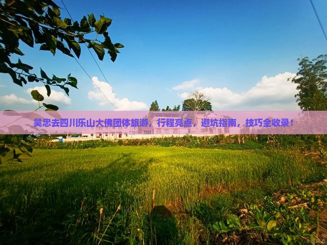 吴忠去四川乐山大佛团体旅游