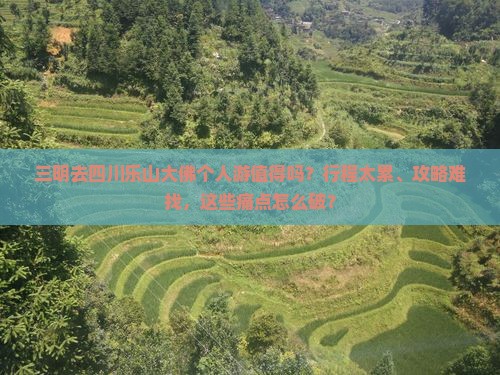 三明去四川乐山大佛个人游